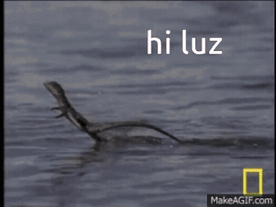 A Lizard Is Swimming In The Water With The Words Hi Luz Written On The Bottom GIF