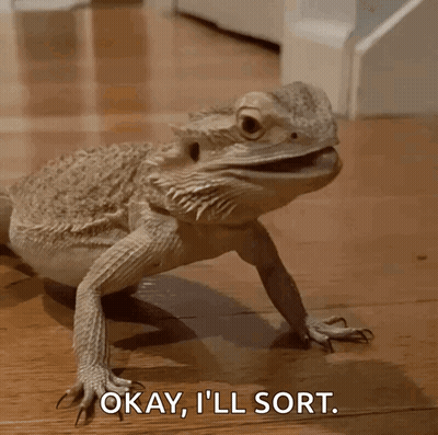 A Lizard Says Okay I 'Ll Sort While Walking On The Floor GIF