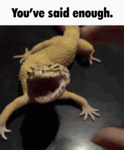 A Lizard With Its Mouth Open And The Words `` You 'Ve Said Enough '' Below It GIF