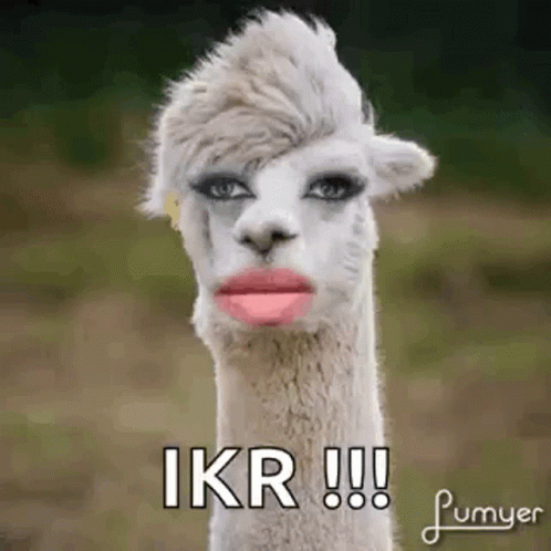 A Llama With Makeup On Its Face And The Words `` Ikr !!! '' GIF