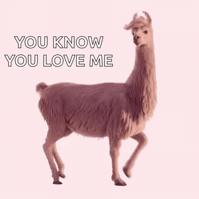 A Llama With The Words `` You Know You Love Me '' Written On It . GIF