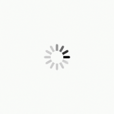 A Loading Icon On A White Background That Looks Like A Sun . GIF