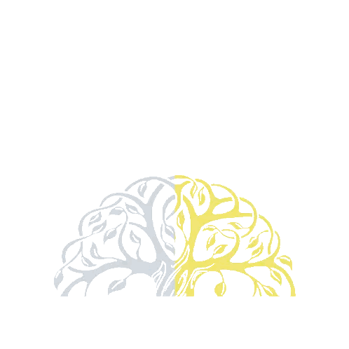 A Logo For A Company Called Valinor GIF