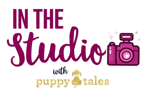 A Logo For In The Studio With Puppy Tales With A Pink Camera Sticker