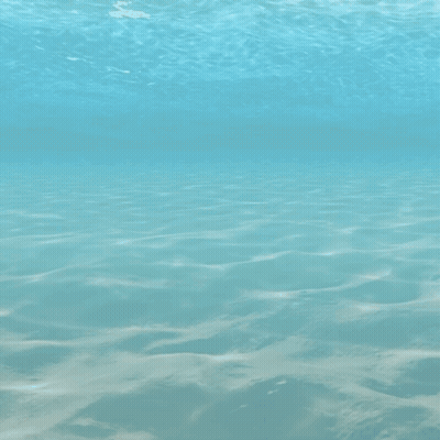 A Logo For Novo Scuba Diving Redefined Is Shown GIF