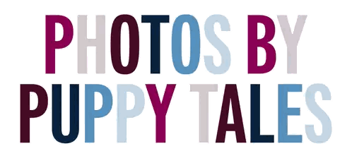 A Logo For Photos By Puppy Tales Is Displayed Sticker