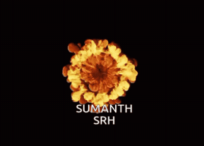 A Logo For Sunrisers Sumanth Srh With Flames Behind It GIF