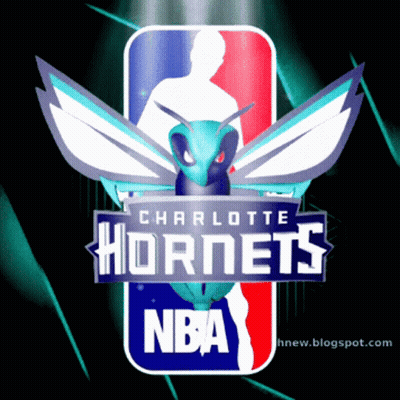 A Logo For The Charlotte Hornets Has A Bee On It GIF
