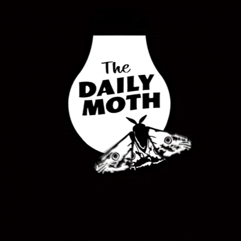 A Logo For The Daily Moth With A Crab GIF