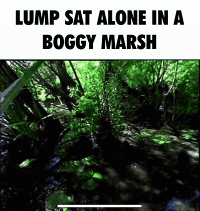 A Lump Sits Alone In A Boggy Marsh With Trees In The Background GIF
