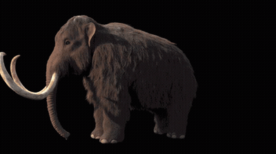 A Mammoth With Huge Tusks Is Standing In The Dark GIF