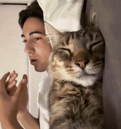 A Man And A Cat Are Looking At Each Other GIF