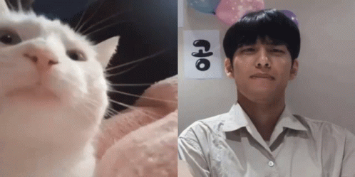 A Man And A Cat Are Next To A Sign That Says Rio On It GIF