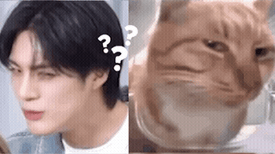 A Man And A Cat Are Sitting Next To Each Other And Making Funny Faces . GIF
