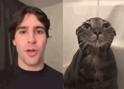 A Man And A Cat Are Standing Next To Each Other In A Bathroom . GIF