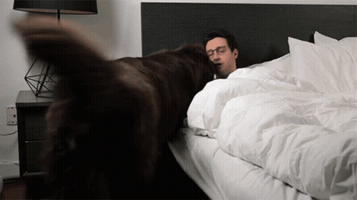 A Man And A Dog Are Laying On A Bed Covered In White Sheets GIF