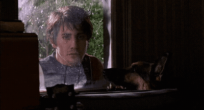 A Man And A Dog Are Looking Out A Window GIF