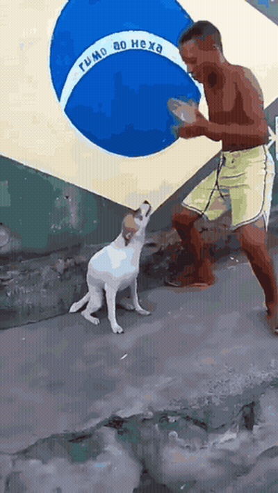 A Man And A Dog Are Standing In Front Of A Flag That Says Fumo Ao Hexa GIF