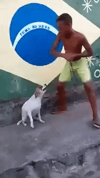 A Man And A Dog Are Standing In Front Of A Flag That Says Rumo Ao Hexa GIF