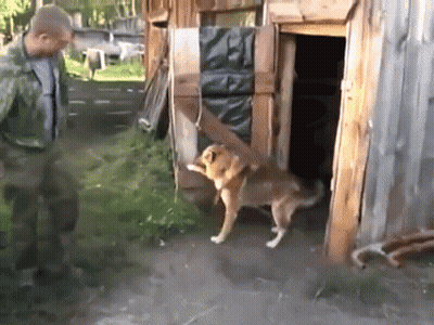 A Man And A Dog Are Standing In Front Of A Wooden Shed GIF
