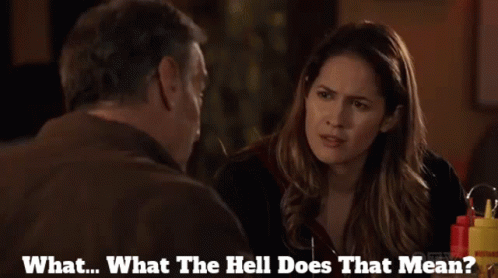 A Man And A Woman Are Having A Conversation And The Woman Is Asking The Man What The Hell Does That Mean GIF