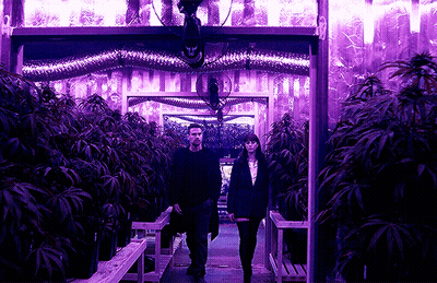 A Man And A Woman Are Walking Through A Purple Room GIF