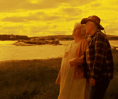 A Man And A Woman Standing In A Field Looking At A Body Of Water GIF