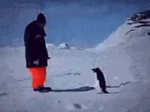 A Man And Penguin Are Standing In The Snow Looking At Each Other GIF
