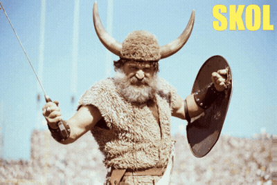 A Man Dressed As A Viking Holding A Sword And Shield With The Word Skol In Yellow GIF