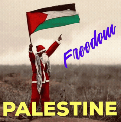 A Man Dressed As Santa Claus Holding A Palestinian Flag GIF