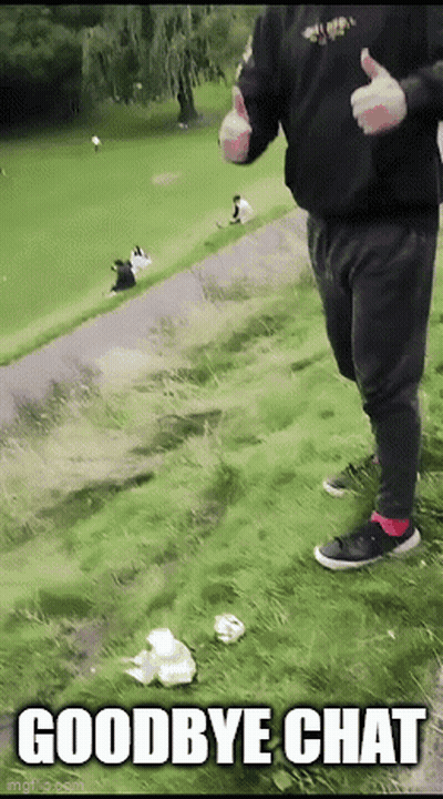 A Man Giving A Thumbs Up While Standing In The Grass With The Words Goodbye Chat Below Him GIF