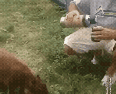 A Man Holding A Can Of Soda And A Bottle Of Water GIF