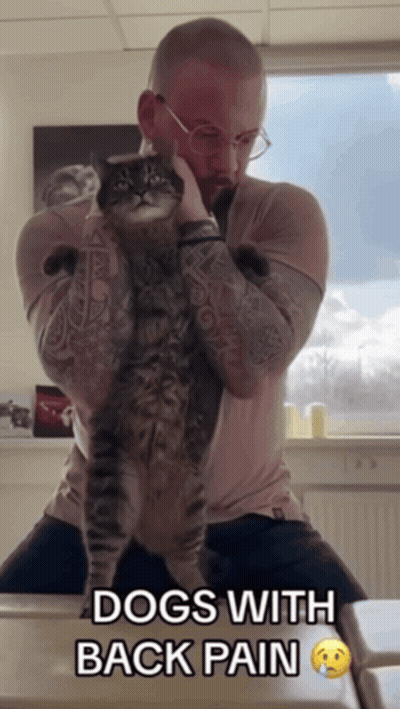 A Man Holding A Cat With The Words Dogs With Back Pain Below It GIF