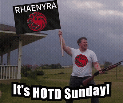 A Man Holding A Flag That Says Rhaenyra GIF