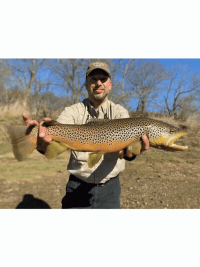 A Man Holding A Large Brown Trout Wearing A Hat That Says Ncd GIF