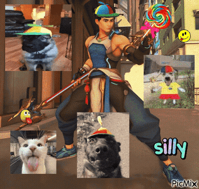 A Man Holding A Lollipop Is Surrounded By Pictures Of Animals And Says Silly GIF