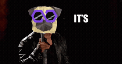 A Man Holding A Microphone With A Pug Mask On His Face And The Words It 'S About To Go Down GIF
