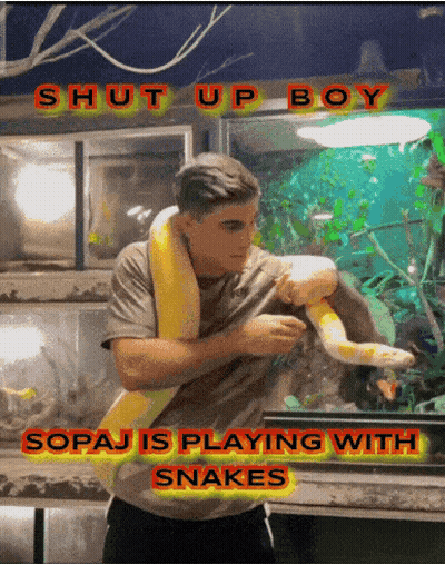 A Man Holding A Snake With The Words Shut Up Boy GIF