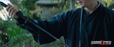 A Man Holding A Sword With Snake Eyes Written On The Bottom Right GIF