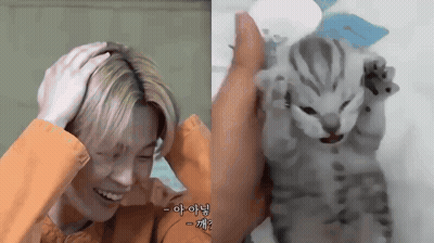 A Man Holding His Head Next To A Kitten With Chinese Writing On It GIF