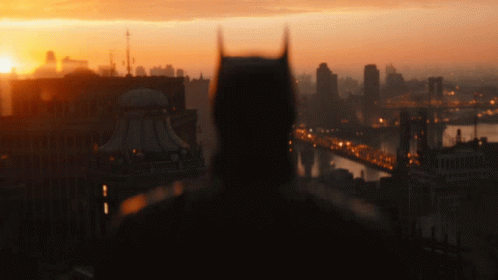 A Man In A Batman Costume Stands In Front Of A Sunset Over A City GIF