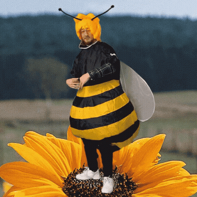 A Man In A Bee Costume Is Standing On A Yellow Flower GIF
