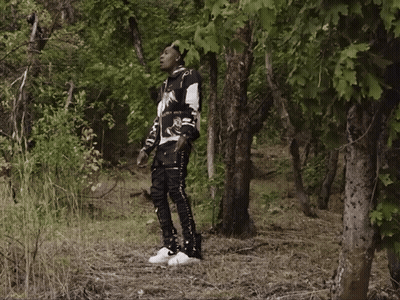 A Man In A Black And White Sweater Stands In A Forest GIF