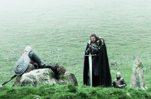 A Man In A Black Cape Holding A Sword Stands In A Grassy Field GIF