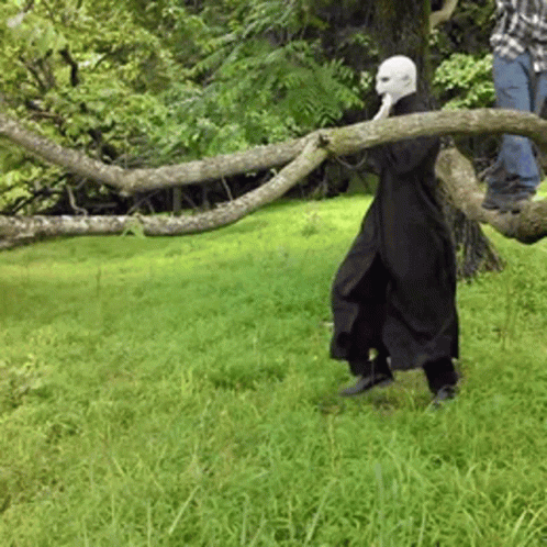 A Man In A Black Coat Is Holding A Tree Branch In A Field GIF