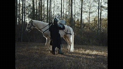 A Man In A Black Coat Is Standing Next To A White Horse In A Field . GIF