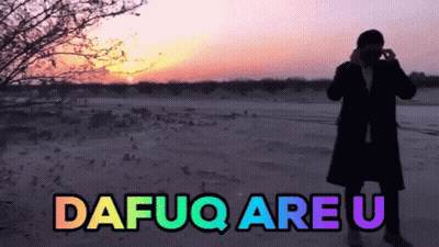 A Man In A Black Coat Stands In Front Of A Sunset With The Words Dafuq Are U GIF