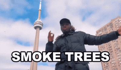 A Man In A Black Jacket Is Standing In Front Of A Smoke Trees Sign . GIF