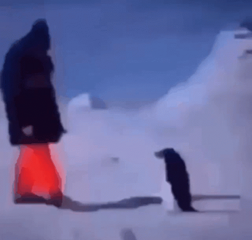 A Man In A Black Jacket Stands Next To A Penguin GIF