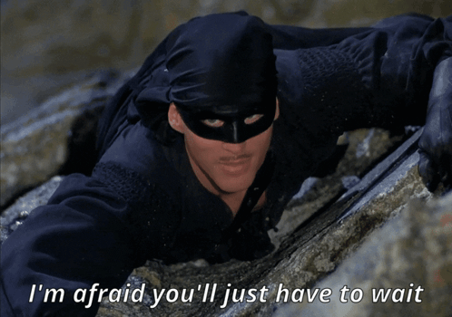 A Man In A Black Mask With The Words I 'M Afraid You 'Ll Just Have To Wait GIF